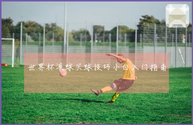 世界杯滚球买球技巧小白入门指南