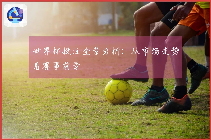 世界杯投注全景分析：从市场走势看赛事前景