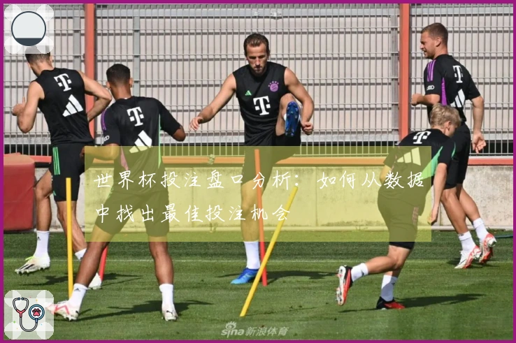 世界杯投注盘口分析：如何从数据中找出最佳投注机会