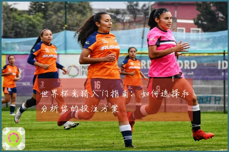 世界杯竞猜入门指南：如何选择和分析你的投注方案