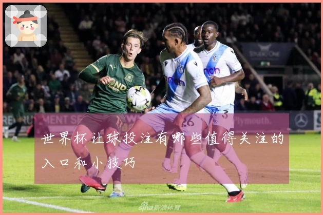 世界杯让球投注有哪些值得关注的入口和小技巧